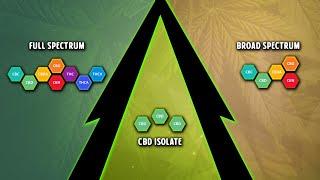 Full Spectrum vs Broad Spectrum vs CBD Isolate: Which One Is Ideal For You?