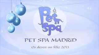 PET SPA PELUQUERIA CANINA Y FELINA DE MADRID  FELIZ NAVIDAD 2013