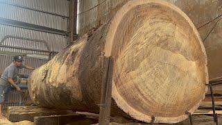 Woodworking Plans||Beautifully Sawing Planks|| Giant Ironwood | Operating Extra Large Saws