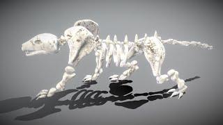 3D Model - Leopard Skeleton - Downloadable