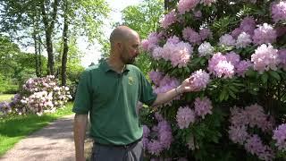 Virtual Tour of Cholmondeley Castle Gardens