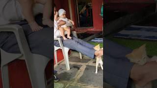 Baby playing with cat|#cutebaby#cat#babyplaying#love#music#reels#shorts#kunalkirtiwithnature