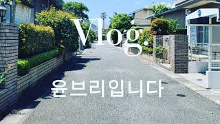 일본사는 한국엄마/후쿠오카맘 일상일기/40대 주부