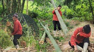 17-year-old single mother builds bamboo house alone, starts new life