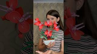 ЧУДОВІ КВІТИ WISEPLAY Orchid Flower КОНСТРУКТОР WISEPLAY