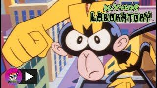 Dexter's Laboratory | Monkey | Cartoon Network