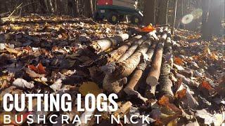 Cutting Logs In Our Bushcraft Fort // Ep 4 Bushcraft Nick