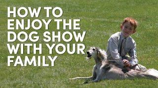 Quick Tips! How to Enjoy The Dog Show With Your Family