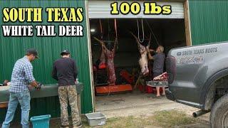 Did We Fill The Freezer? Harvesting White Tailed Deer & Wild Pig