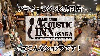 【店舗紹介動画】三木楽器 AcousticINN ってこんなショップです！。アコギ・ウクレレをお探しの方にピッタリの楽器選びをサポートさせていただきます！