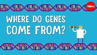 Where do genes come from? - Carl Zimmer