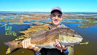 Louisiana Shallow Water Showdown / Sight Fishing for Redfish!