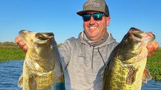 Bass punching weight trick!