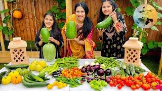 Huge Harvest In Our Vegetable Garden September (2022) | Malang Log Official