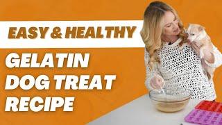 Easy Gelatin Dog Treat Recipe | Proud Dog Mom