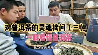 How to understand Pu'er tea at a glance? Come, follow Pu Wen's soul torture for Pu'er tea time an...