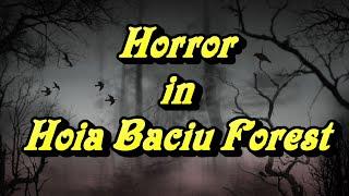 HOIA BACIU FOREST - FULL VISIT AND INVESTIGATION - THE WORLD`S MOST HAUNTED FOREST - SPOOKY!