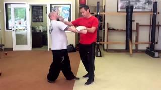 Wing Tsun sparring & applications training