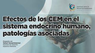 Experto en Salud Geoambiental - Efectos de los CEM en el sistema endocrino humano