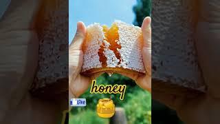 #pure natural  honey#save  bees#save nature#honeycomb#honey#video#shorts