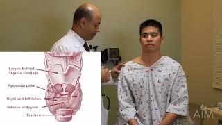 The Thyroid Exam Stanford Medicine 25