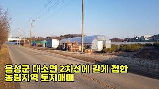 음성군 대소면  2차선에 길게 접한 농림지역 토지매매