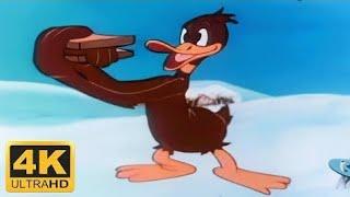 | Looney Tunes | Daffy's Southern Exposure | 1942 |