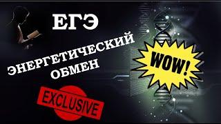 Энергетический обмен для ЕГЭ по биологии