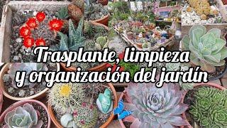 De todo un poco ‍️Trasplante, limpieza y organizamos el jardín