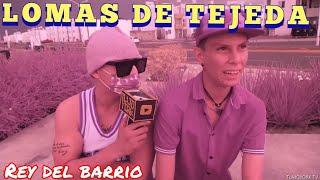 Soy Nini y Busco Shugar Con el "Rey del Barrio"