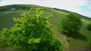I'm mowing the lawn ( RAW Freestyl Fpv ) #drone #fpv #freestyle #trees #lawn