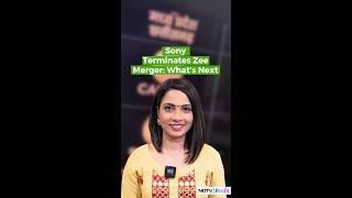 Sony Terminates Zee Merger: What’s Next | Sony Zee Merger News Today