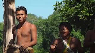 Authentic Expedition to an Embera Indian Village, Colon, Panama