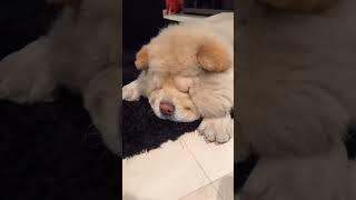 SO CUTE