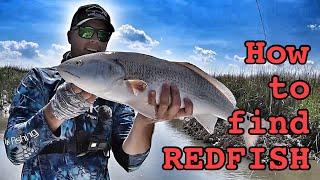 locating REDFISH in new waters￼ - how to find red fish￼