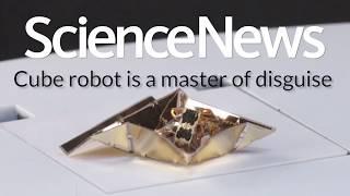 Cube robot is a master of disguise | Science News