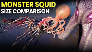 Monster Squid Size Comparison | KRAKEN Vs COLOSSAL SQUID