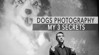 Dogs Photography secrets revealed