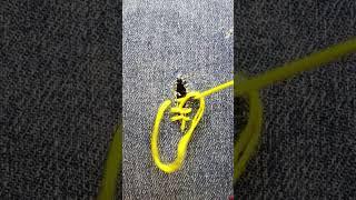 How to fix a broken Jeans 