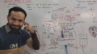 Le#14 | Electric Physiology of myocardium | Physiology of Heart | ECG Made easy