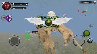 Wild animals online^^ my Lion lvl 30