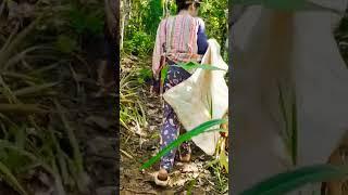 Walking At The Mountain!Rural Life Vlog Philippines #farmer #countryside #lifeinthephilippines