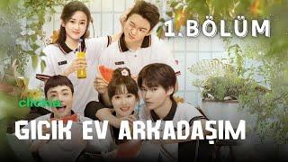 Gıcık Ev Arkadaşım l 1. Bölüm l My Annoying Roommate l Ji Mei Han, Zhang Jia Shuo l 同学，你什么时候从我家搬走？