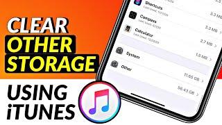 How to delete Other Storage from iPhone I Clear Other Storage in iPhone Using iTunes I PC Method