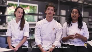 Grado en Gastronomía - Microbiología Aplicada - Proyecto Mozzarella