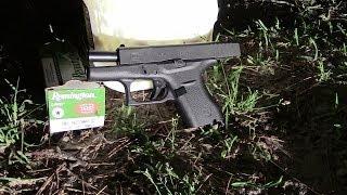 Glock 42 380 vs sour milk