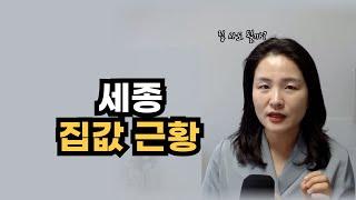 세종 집값 현실 이렇습니다, 집사도 될지 어디가 좋은지 알려 드립니다.