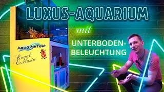 High-End Komplettset von AquaPerfekt und Royal Exclusiv  | AP-Reeftank Exklusiv |  #1