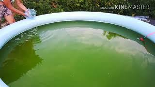 Как очистить бассейн от зелени.