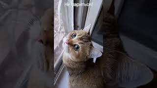 Секрет прост #юмор  Позитив от  Марселя. 05/16/2023 Secret